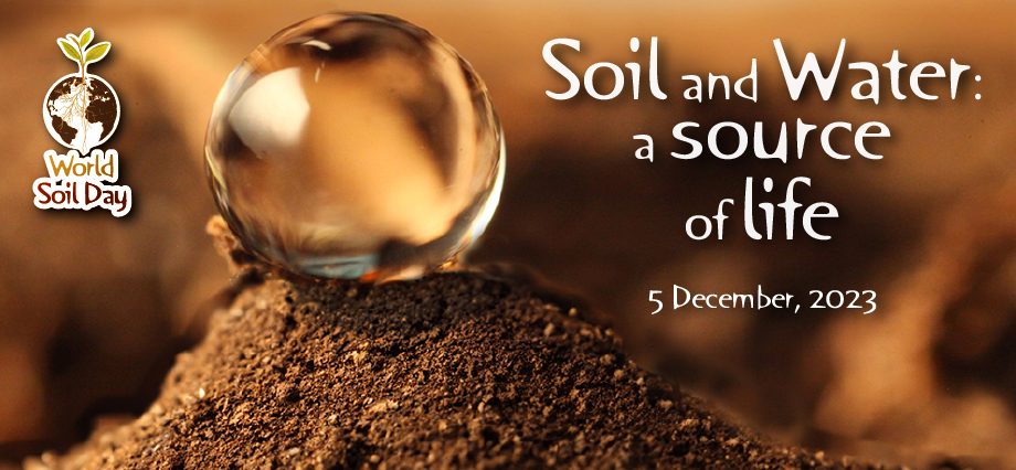 Today is World Soil Day, Let the Children Know, Catch Them Young!