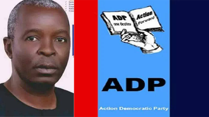 Labour Party, ADP Win Rep, Senate Seats in Plateau Rerun Elections