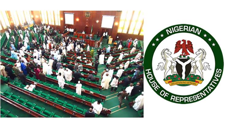 Constitution Review: Reps Engage Technical Consultants,  Request Input From Nigerians