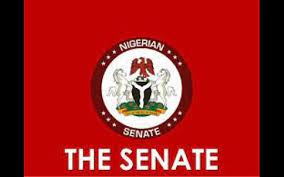 18 Year Limit for Varsity Admission: Education Minister on His Own- Senate