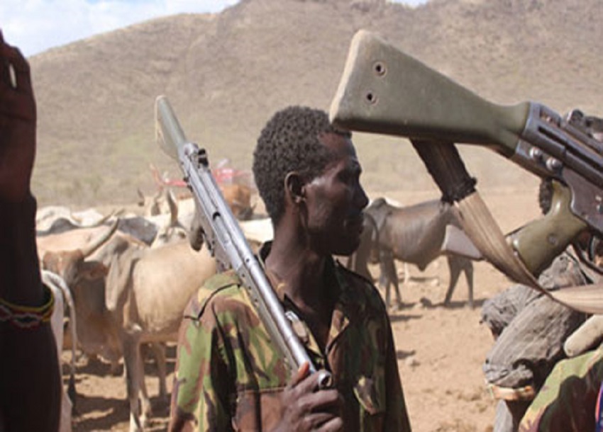 FG Must Take Steps to Stop Killer Fulani Herdsmen Now, ADF Urges President Tinubu